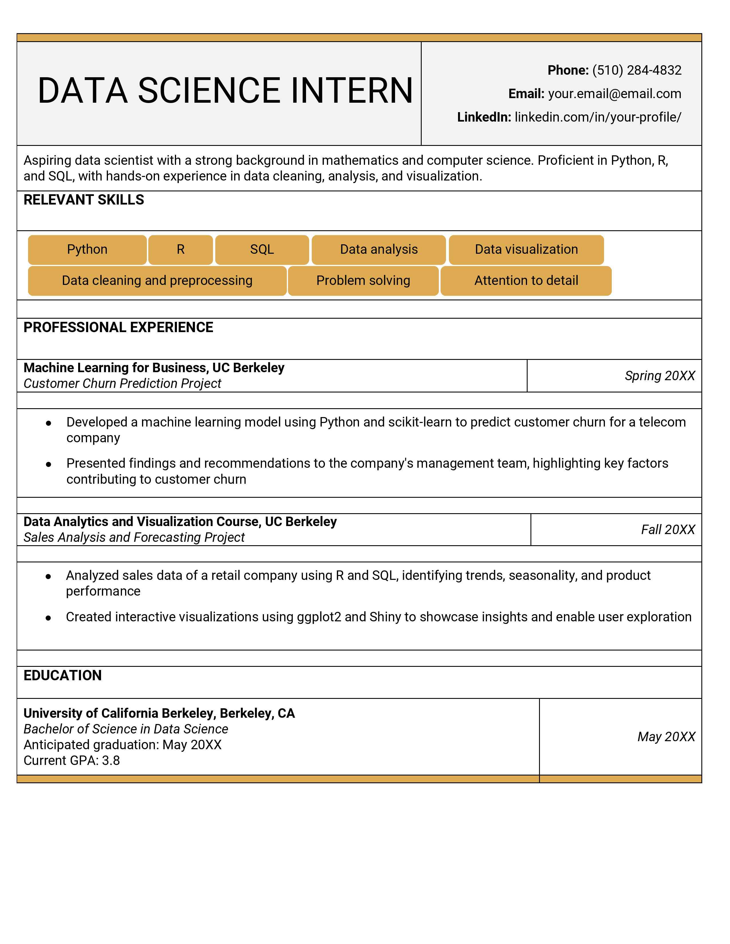 Data Scientist resume template 2.jpg