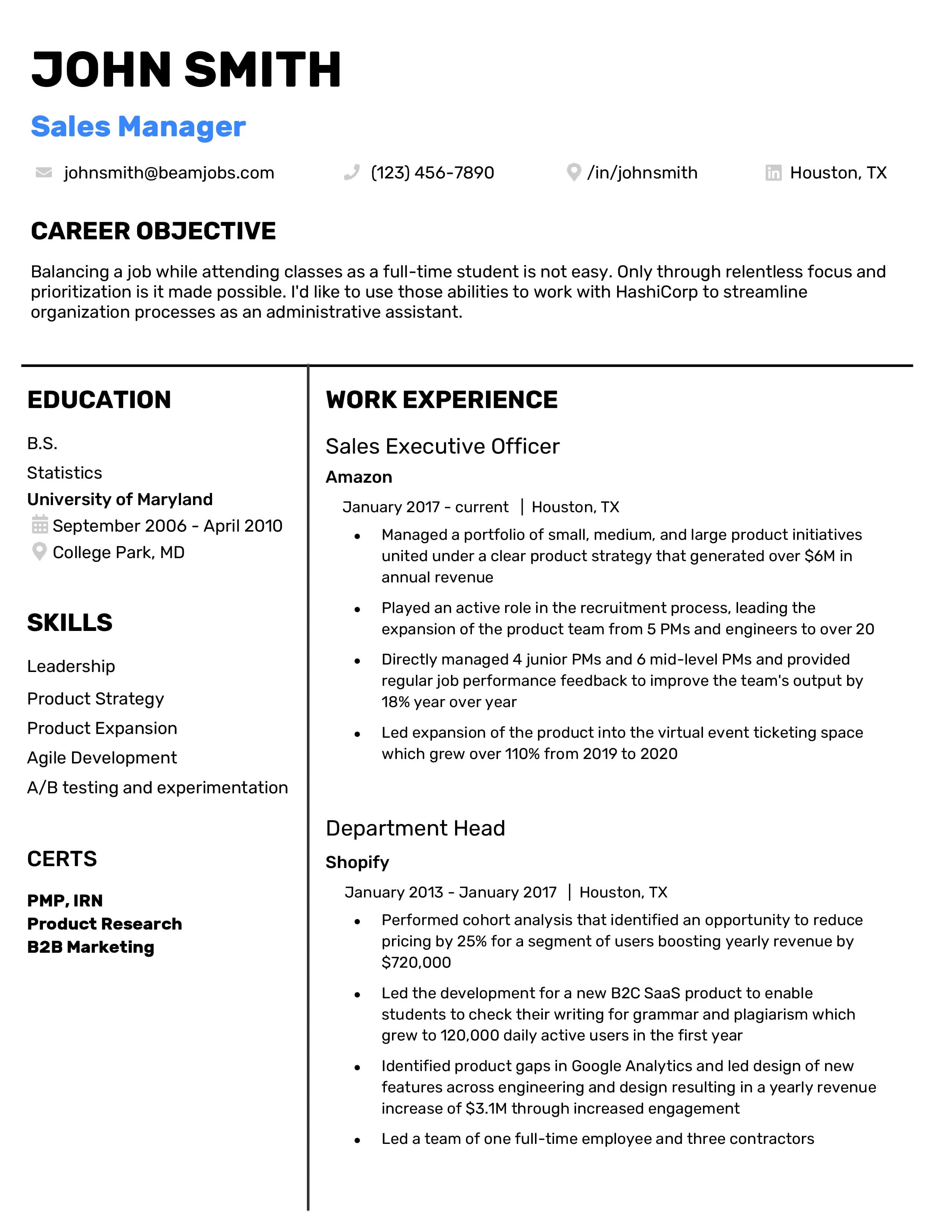 Sales Manager resume template 4.jpg