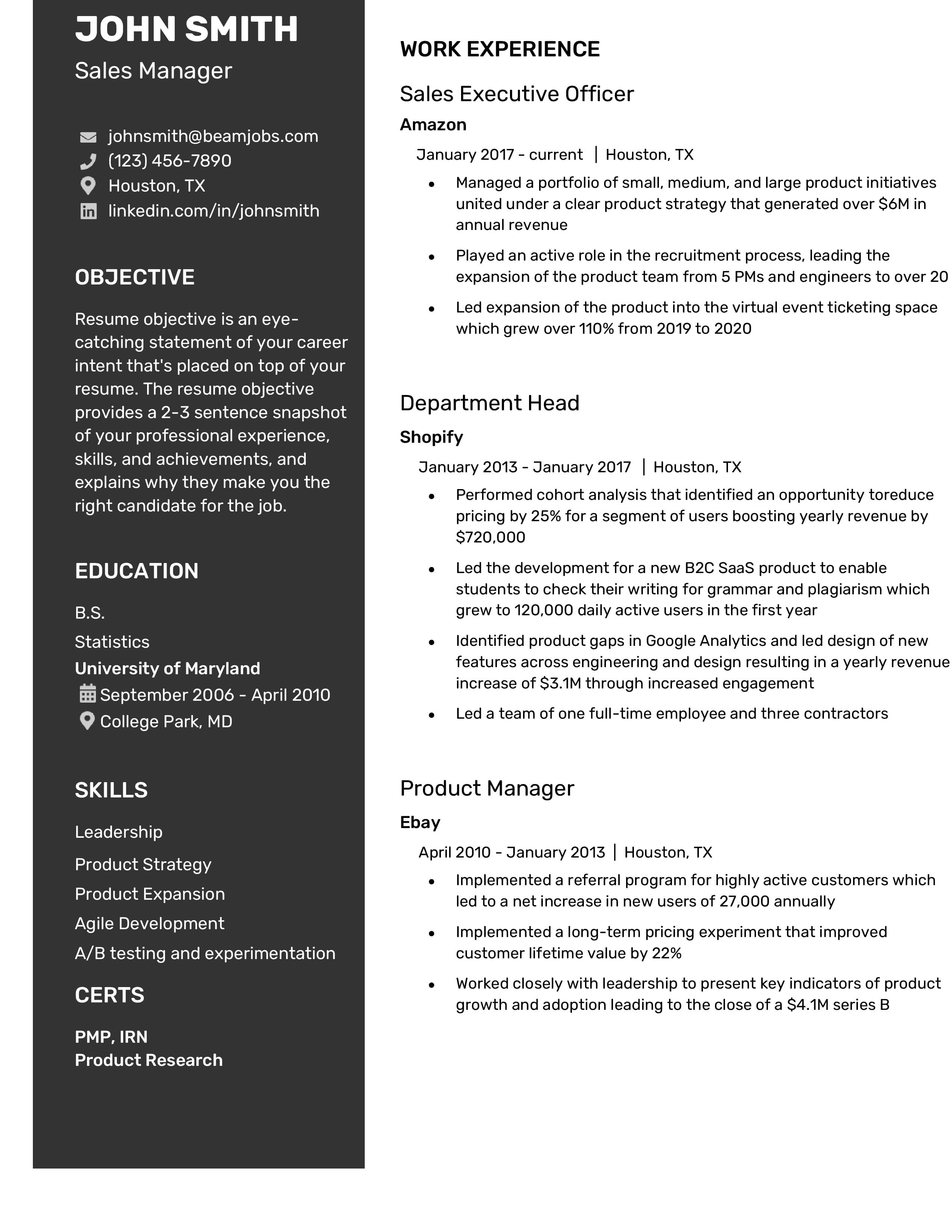 Sales Manager resume template 5.jpg