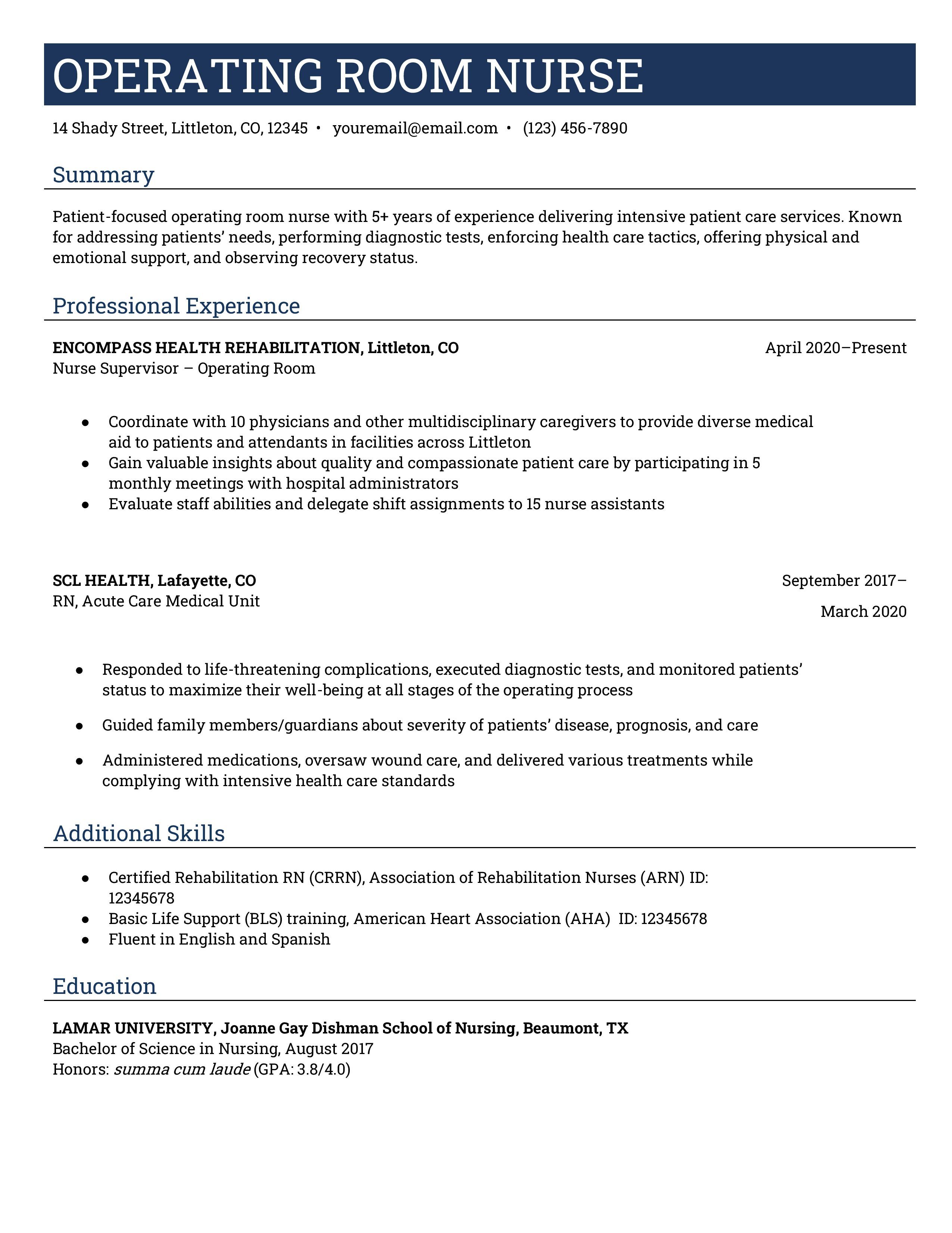 Travel nurse resume template 3.jpg